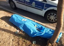 یک قلاده سگ، عامل تصادف مرگبار و فوت عابر پیاده در بزرگراه لشگری