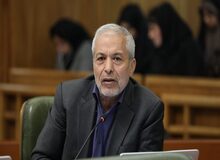 محمود میر لوحی: ما می‌گوییم انتخابات مهندسی شده، اما آنها می‌گویند اسمش پزشکی است