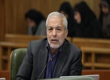 محمود میر لوحی: ما می‌گوییم انتخابات مهندسی شده، اما آنها می‌گویند اسمش پزشکی است