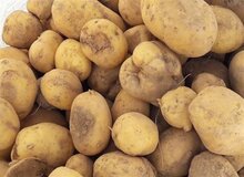 قیمت سیب‌زمینی رسما اعلام شد/ هر کیلو سیب‌زمینی را در مغازه‌ها چند باید بخریم؟