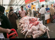نرخ واقعی مرغ ۸۵۰۰ تومان است
