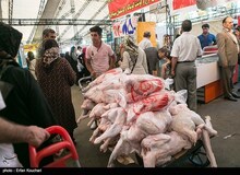 نرخ واقعی مرغ ۸۵۰۰ تومان است

