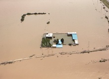 خوزستان در محاصره/ مدیرعامل جمعیت هلال‌احمر خوزستان: برخی از روستاییان دامدار حاضر نیستند در اردوگاه‌ها ساکن شوند 
