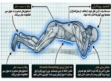 بهترین حالت برای حفظ سلامت نخاع و گوش هنگام موج انفجار/ تصویر
