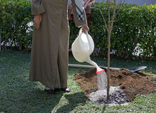 رهبر انقلاب اسلامی دو اصله نهال میوه غرس کردند
