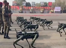 رژه سگ‌های ربات در ارتش هند+فیلم