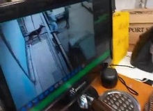 دستگیری عامل رعب و وحشت شهروندان با سگ سیاه در باقرشهر+فیلم 