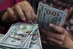 فروش ارز سهمیه‌ای به متقاضیان با شرایط تازه /شرایط خرید چیست؟/اعلام نرخ و جزییات