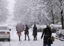 پنجشنبه تهران برفی می‌شود

