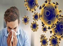کرونای تیغی چقدر خطرناک است؟/ علائم این بیماری