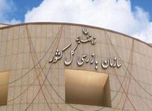 ‏۱۷ هزار پرونده قضایی برای فروشگاه خصوصی در قم تشکیل شد