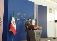 سخنگوی وزارت خارجه به اعتصاب غذای «بری روزن» در وین واکنش نشان داد/ خطیب زاده: در اروپا که بودم در چنین نمایش هایی لوبیاپلو می خوردند