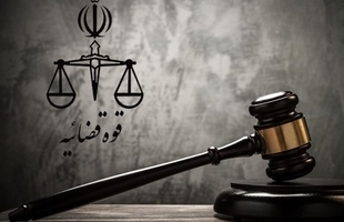 در پرونده مارتن تهران یک نفر با قید وثیقه آزاد است/زیباکلام و عبدی به یک سال حبس محکوم شدند