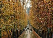 پاییز پربارش در راه است
