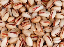تأثیر مصرف پسته در شب بر میکروبیوم روده در مبتلایان پیش‌دیابت