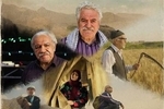 پخش مجموعه نمایشی «دیدار» درباره رهبر شهید