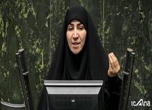 نماینده مجلس:مردم از گرانی افسارگسیخته به ستوه آمده‌اند/ قرعه‌کشی خودرو توهین مسلم به شعور مردم ایران است