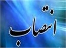 انتصاب مشاور معاونت ساماندهی امور جوانان وزارت ورزش و جوانان