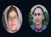 دو استاد دیگر دانشگاه هنر قربانیان جدید خالص سازی/ مخالفت دانشگاه  با قرارداد دائم مسعود علیا و حسینی شکیب 
