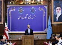 فریبا عادل‌خواه ۵ سال حبس گرفت/  مطالبه استرداد جسد قاضی منصوری را کردیم/ مشروح نشست خبری سخنگوی قوه قضاییه 