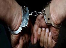 یک آشپز به دلیل اهانت به سردار سلیمانی بازداشت شد +عکس