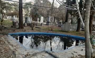 درختان آرامستان تاریخی دولاب، در صف مرگ‌