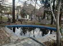 درختان آرامستان تاریخی دولاب، در صف مرگ‌