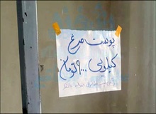 پوست مرغ کیلویی  ۹ هزار تومان/ صف‌های مرغ همچنان طولانی است!

