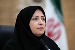 انصاری: مستندسازی پیامدهای جنگ بر محیط‌زیست آغاز شد