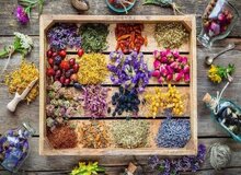 آیا مصرف گیاهان دارویی باعث بروز کبد چرب می‌شود؟