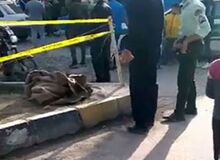 نیره توکلی جامعه شناس: ازدواج های قراردادی، ناف بُری، کودک همسری و فرهنگ خشونت عامل قتل ناموسی در خوزستان است 