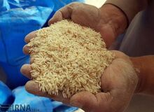  برنج مازندران برای چهارمین بار در یک سال گران شد