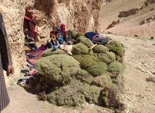 آوارگی پنج هزار شیعه هزاره توسط طالبان/ کودکان و کهنسالان در معرض مرگ