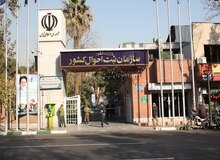 پر طرفدارترین نام دخترانه در ۹ ماهه سال+ جزئیات