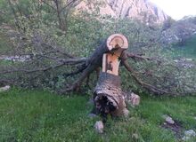 اعلام نظر کارشناسی پرونده اردوی دانش‌آموزی مینودشت؛ آموزش‌وپرورش، مسئولان مدرسه شاهد و اداره منابع طبیعی مقصر شناخته شدند