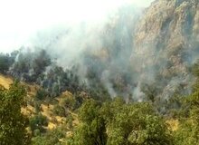 در یک هفته ۴ هزار هکتار از جنگل های زاگرس از بین رفت