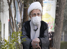 کاشت یک اصله «نهال نارنج» توسط دبیر شورای نگهبان / آیت الله جنتی: باید جامعه را با درخت سبز کنیم