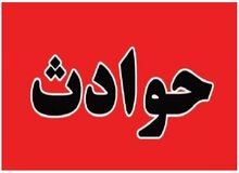 قتل عجیب مرد77ساله توسط پسرش/ مقتول چندساعت قبل از مرگ به ماموران کلانتری گفته بود که تهدید به قتل شده