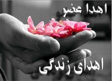 اهدای عضو به 6 بیمار جانی دوباره بخشید