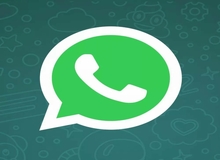 مهاجرت لاک پشتی مردم از تلگرام به واتساپ
