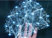 پخش مویرگی چیست؟ بررسی اصول و قوانین پخش مویرگی

