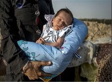 تحویل ۶۰۰ نوزاد در معرض فروش به بهزیستی