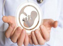 از هر ۶ زوج ایرانی، یک زوج نابارور است
