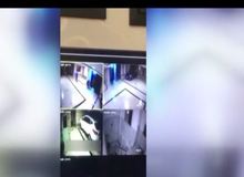 فیلم/ خونسردی عجیب سارقین در حین سرقت گاوصندوق از منزل مسکونی در مرزداران تهران