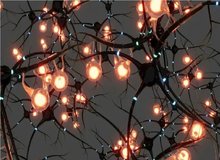 ابداع نورون جدید آزمایشگاهی که تنها با ۰.۱ ولت برق کار می‌کند