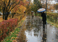 آغاز کاهش دمای پاییزی تهران از فردا