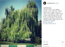 پُست جنجالی اینستاگرامی، آناهیتا همتی را وادار به عذرخواهی کرد+ عکس
