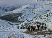 مرگ یک کولبر در مرز مریوان