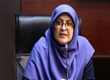 مهاجرانی: ورود دستگاه زباله‌سوز به تهران نیازمند موافقت صد درصدی سازمان محیط‌زیست است + فیلم