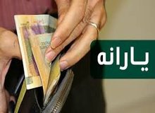 با تصویب مجلس: امکان درخواست مجدد دریافت یارانه فراهم شد
